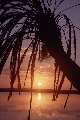 Sunset by a lake near the relaxing spot of Siwa Oasis near the Libyan border.